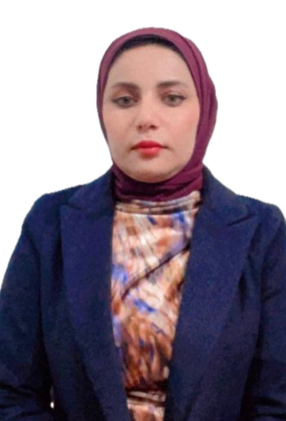 Asst. Lect. Aenas Laith Ali Al-Dulaimi